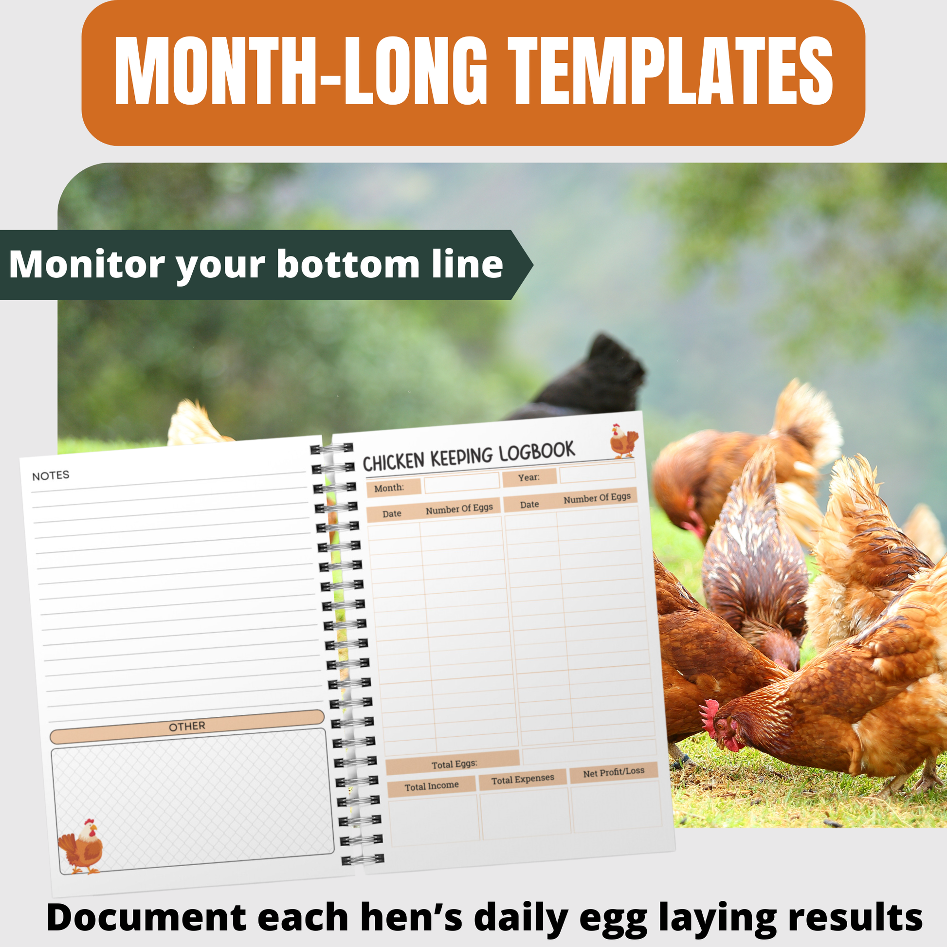 chicken book
backyard chickens
egg sales record book
raising chickens book
backyard homesteading
chicken tracker
egg laying
raising backyard chickens
chicken notebook
chicken keeping
chicken care
chicken journal
chicken coop book